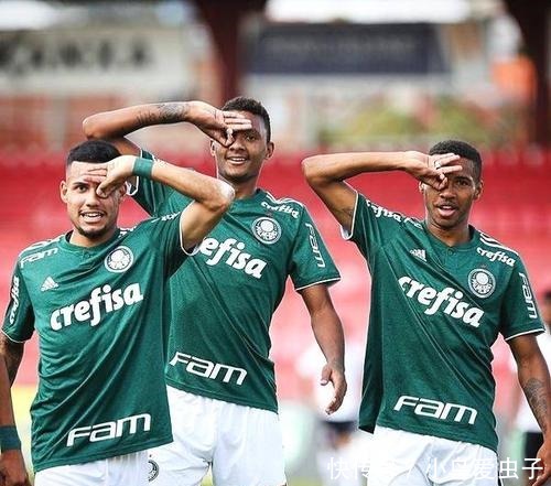 蓉城的组织 蓉城的组织